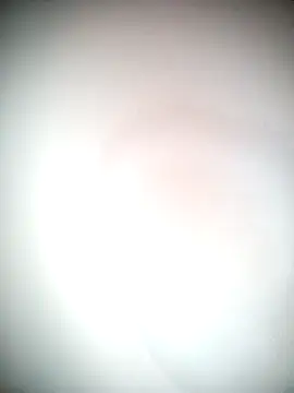 Snapshot of Ariana101 chatting on 24, 11, 2025 Ariana101 online show from 24, 11, 2025