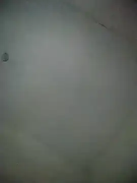 laperson online show from 27, 2, 2026