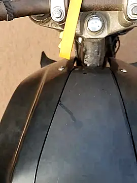 Meow buggie online show from 23, 12, 2025