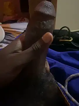 tttsjslo online show from 24, 11, 2025