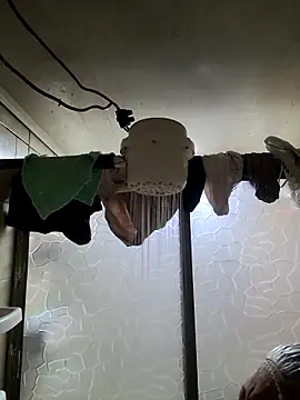 Venus 22 online show from 29, 11, 2025