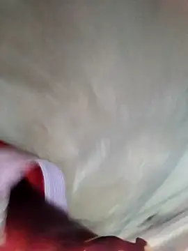 Minsexy66 online show from 2, 12, 2025