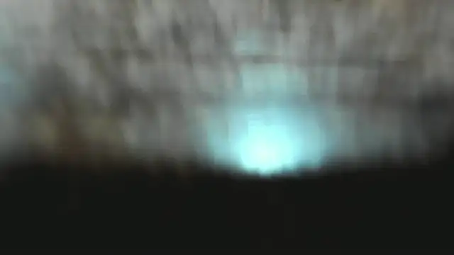 Snapshot of Izelevans chatting on 15, 1, 2026 Izelevans online show from 15, 1, 2026