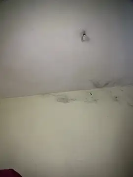 arabayla online show from 3, 3, 2026