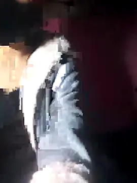 beba1100 online show from 30, 11, 2025