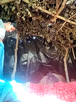 Babita Gori online show from 2, 3, 2026