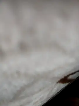 Snapshot of jiniya6789 chatting on 5, 1, 2026 jiniya6789 online show from 5, 1, 2026