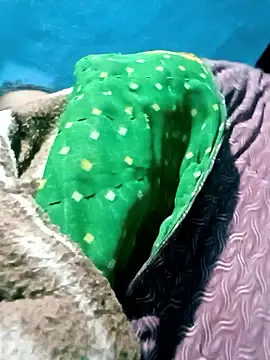 Bady doll34 online show from 12, 1, 2026