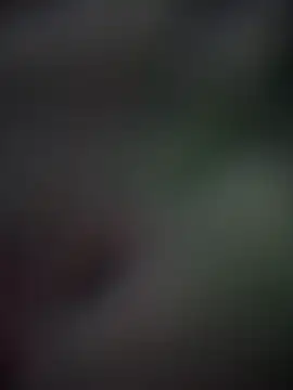 ZafiraNavarro online show from 29, 3, 2026