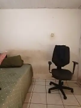 theyllorwillian online show from 20, 2, 2026