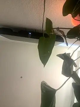 redheadangel 5 online show from 29, 11, 2025