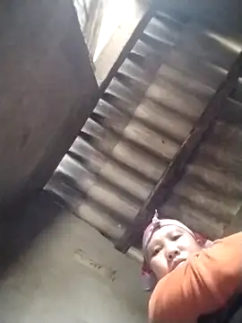 LeoPet2x online show from 5, 2, 2026