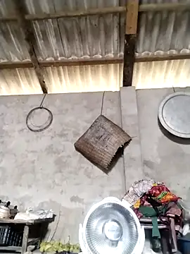 LeoPet2x online show from 16, 3, 2026