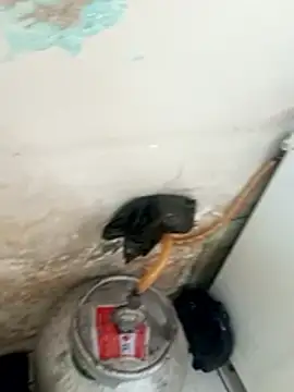 Snapshot of _-_putinha_- chatting on 17, 12, 2025 - putinha - online show from 17, 12, 2025