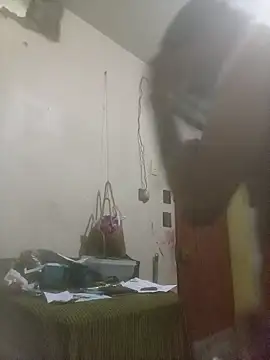 bebicho11 online show from 3, 12, 2025