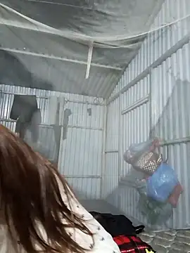 Evelyn-n online show from 5, 4, 2026