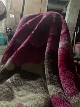 anh-soi123 online show from 11, 3, 2026