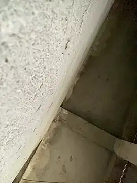 Lilik2 online show from 15, 1, 2026