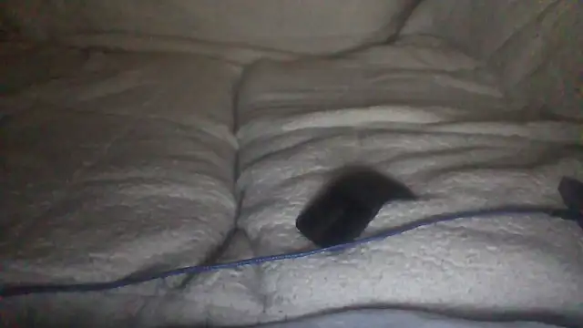 moneymaker50 online show from 2, 12, 2025