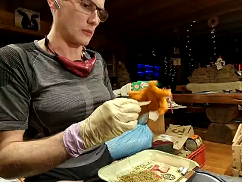 laaralatexxa BDSM online show from 18, 1, 2026