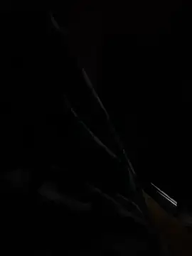 hot8veera online show from 2, 12, 2025