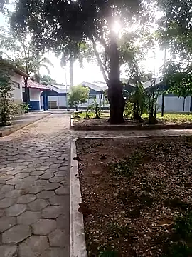 Mchljjk online show from 8, 1, 2026