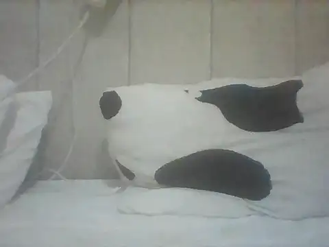 Snapshot of Thand03 chatting on 26, 5, 2026 Thand03 online show from 26, 5, 2026