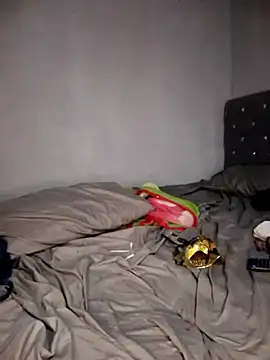 Vaness hot online show from 14, 2, 2026