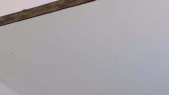 LucyHanks online show from 23, 2, 2026