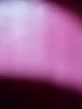 Myrelahot online show from 21, 3, 2026