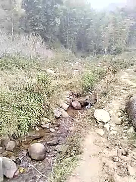 neko-nancy online show from 14, 1, 2026