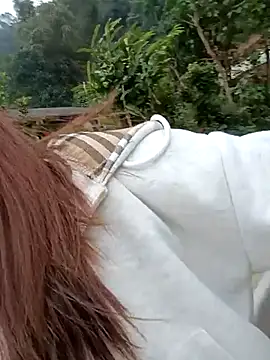 Snapshot of Chinchink2 chatting on 15, 12, 2025 Chinchink2 online show from 15, 12, 2025