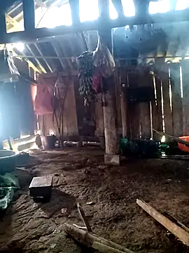 little-effy online show from 23, 3, 2026