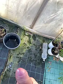 marcoboss online show from 14, 1, 2026