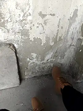 Mar81 online show from 12, 2, 2026