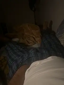 Night outcam online show from 17, 2, 2026