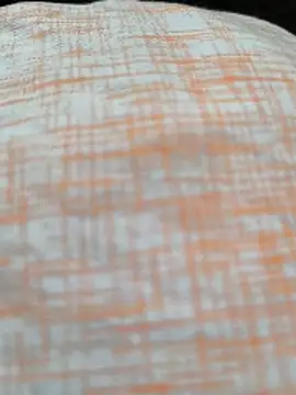 White-Rose-Telugu online show from 19, 12, 2025