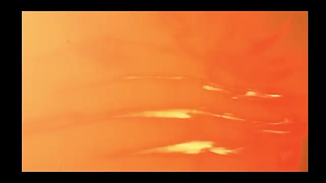 vickvalencia2 online show from 13, 2, 2026