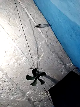 Akanksha soni online show from 3, 3, 2026