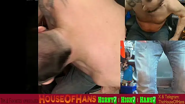 HouseOfHans online show from 19, 2, 2026