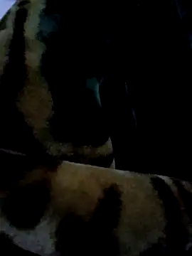 aman4404 online show from 6, 1, 2026