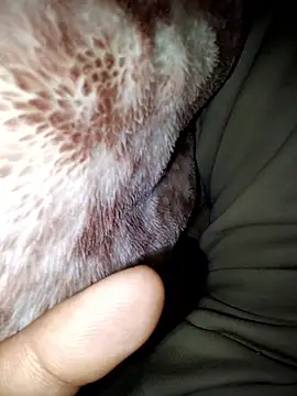 aman4404 online show from 13, 1, 2026