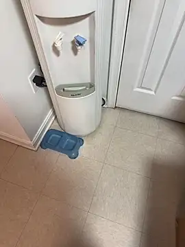 Snapshot of tigre6911 chatting on 16, 12, 2025 tigre6911 online show from 16, 12, 2025