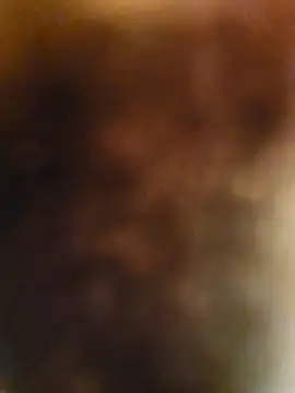 sweets danshi online show from 22, 3, 2026