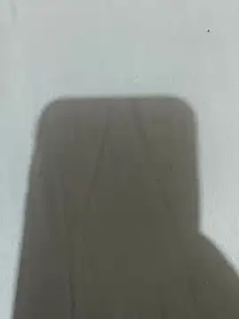 pampam nifetinha online show from 16, 4, 2026