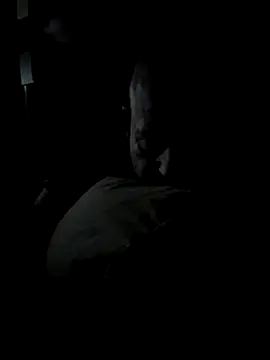 Snapshot of K9handler1 chatting on 16, 12, 2025 K9handler1 online show from 16, 12, 2025