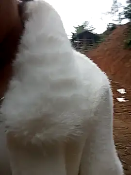 Girl cutee online show from 1, 2, 2026