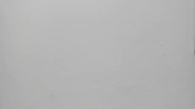 ariloe quintero online show from 30, 3, 2026