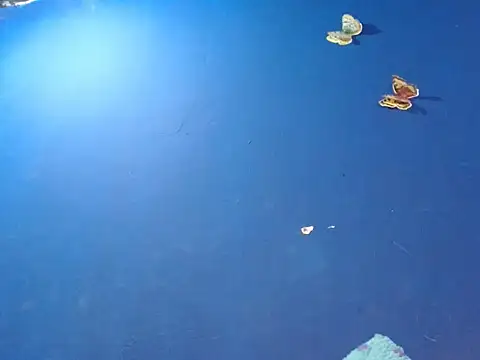 sk8-boy online show from 18, 12, 2025