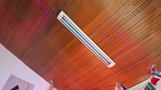 Amelie Wine online show from 14, 7, 2026